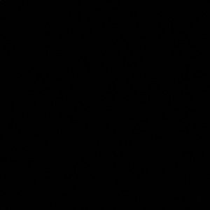 Meet your Posher, Omayra